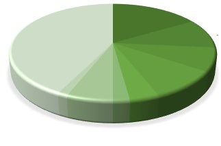 Asset Allocation